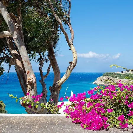 Alkistis - Designed For Adults 호텔 아기오스 스테파노스